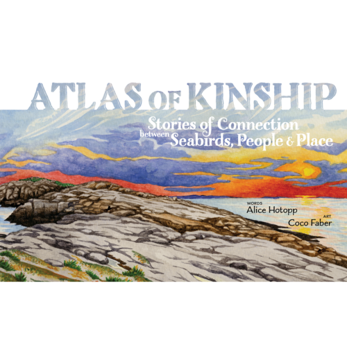 Atlas of Kinship: Stories of Connection Between Seabirds, People & Place