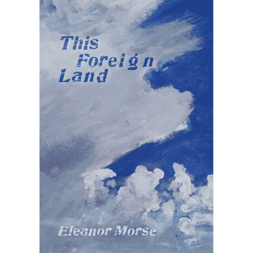 This Foreign Land by Eleanor Morse